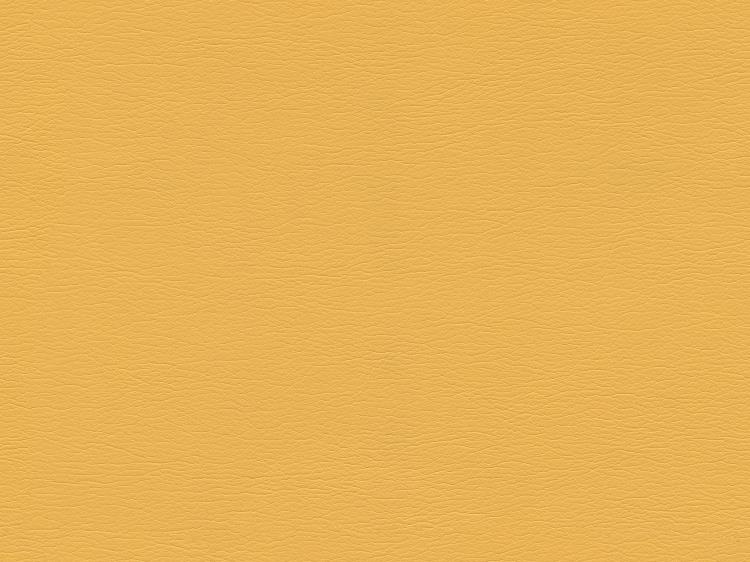 Fabric Image