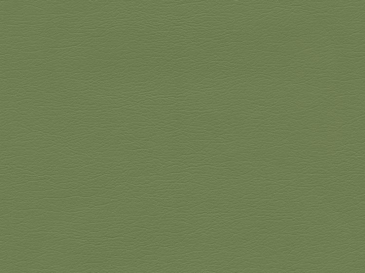 Fabric Image