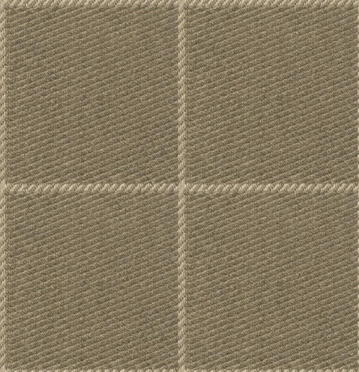 Fabric Image