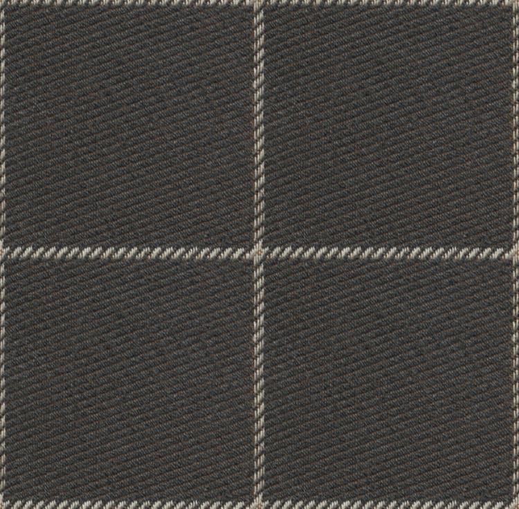 Fabric Image