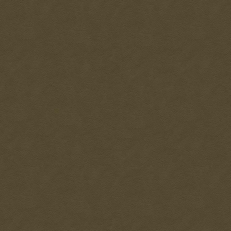 Fabric Image