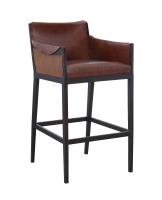 Gunnison Bar Stool- Brown Leather